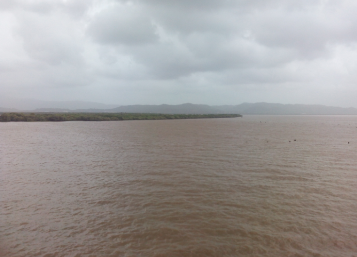 Vasai Creek, Thane, Maharashtra - Vushii.com Vasai Creek, Thane, Maharashtra - Vushii.com